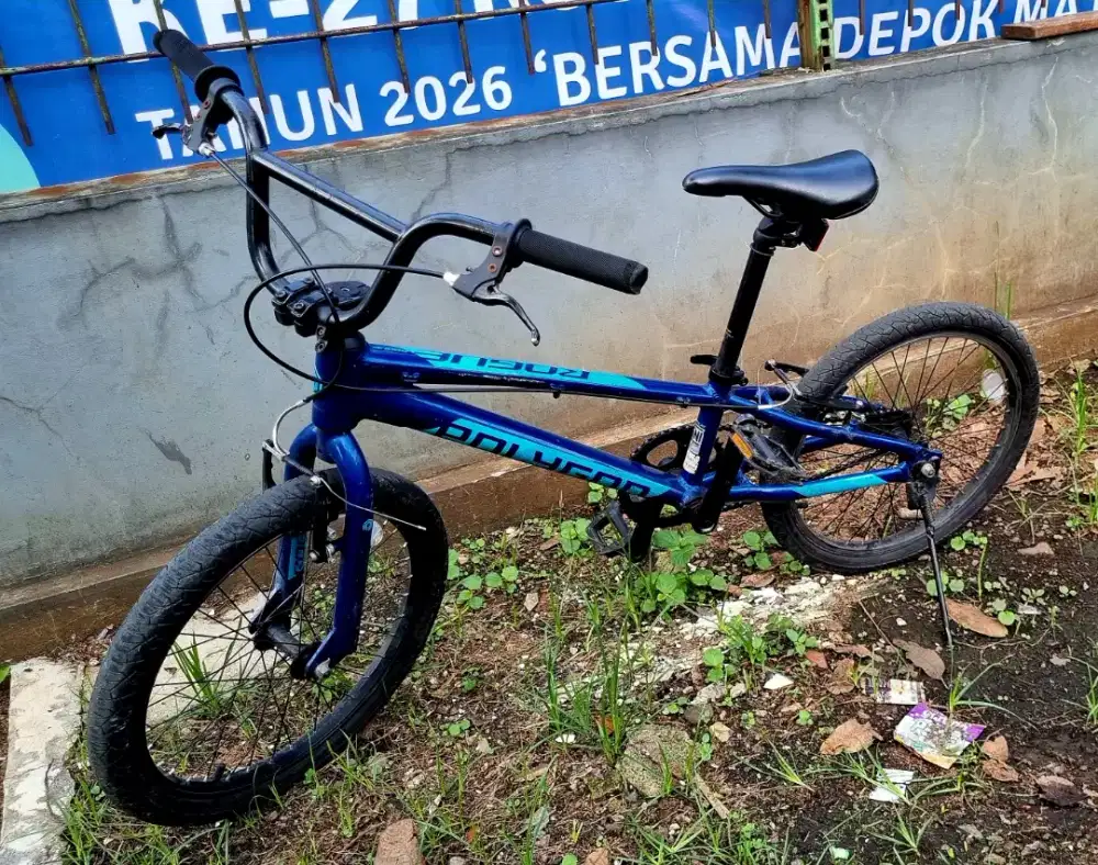 Polygon BMX Rogue
