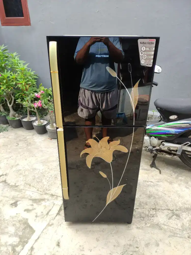 kulkas 2 pintu polytron belleza