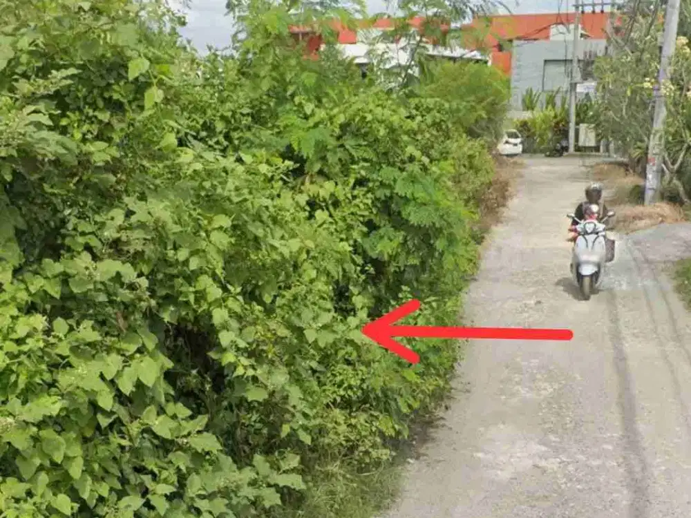 TANAH PERERENAN LINGKUNGAN VILA KOMERSIL SHM ZONA PINK LEBAR 27m 1,750M/are - Thumbnail 2