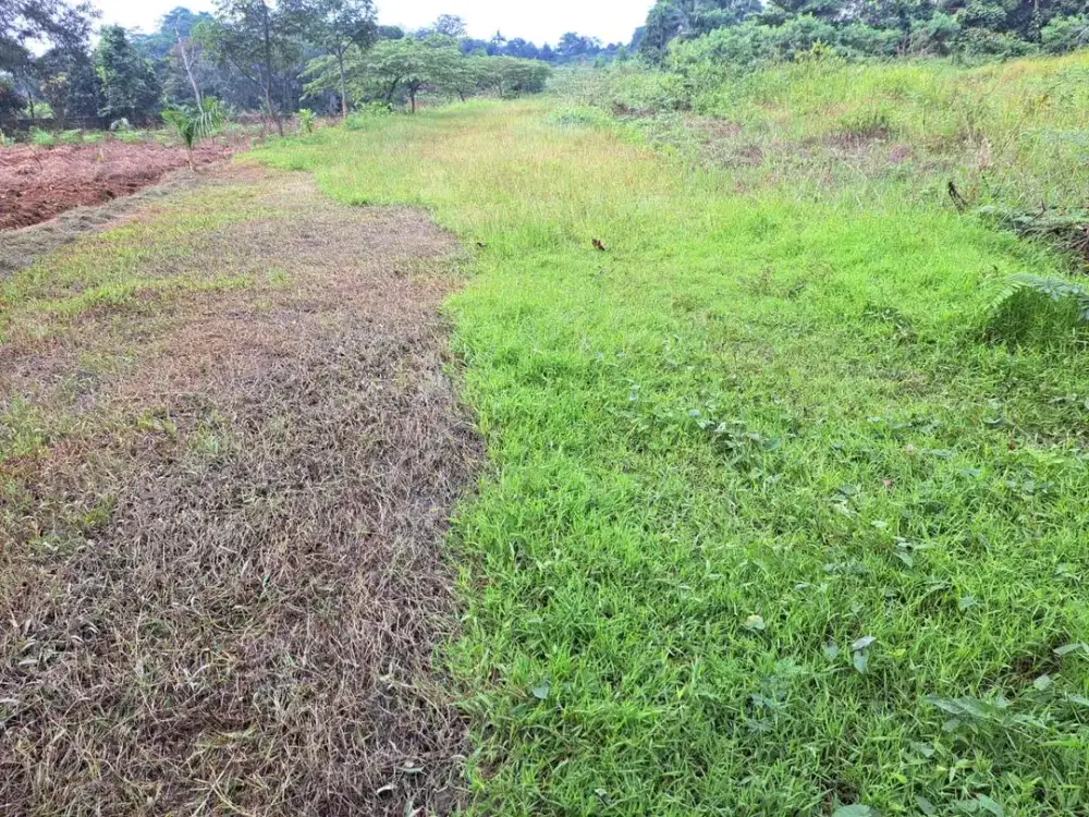 Dijual tanah darat, kontur rata di bogor