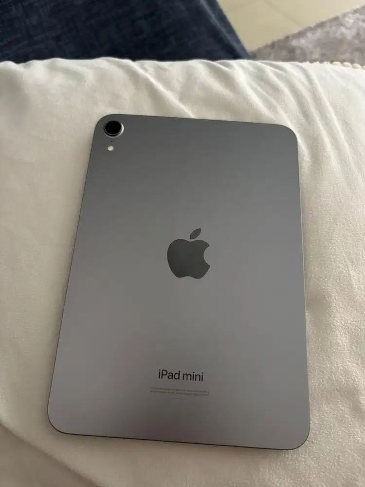 Ipad mini ( A17 pro )