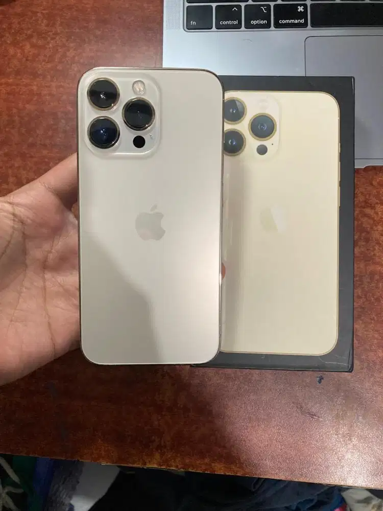 IPHONE 13 PRO 256 ex Beacukai