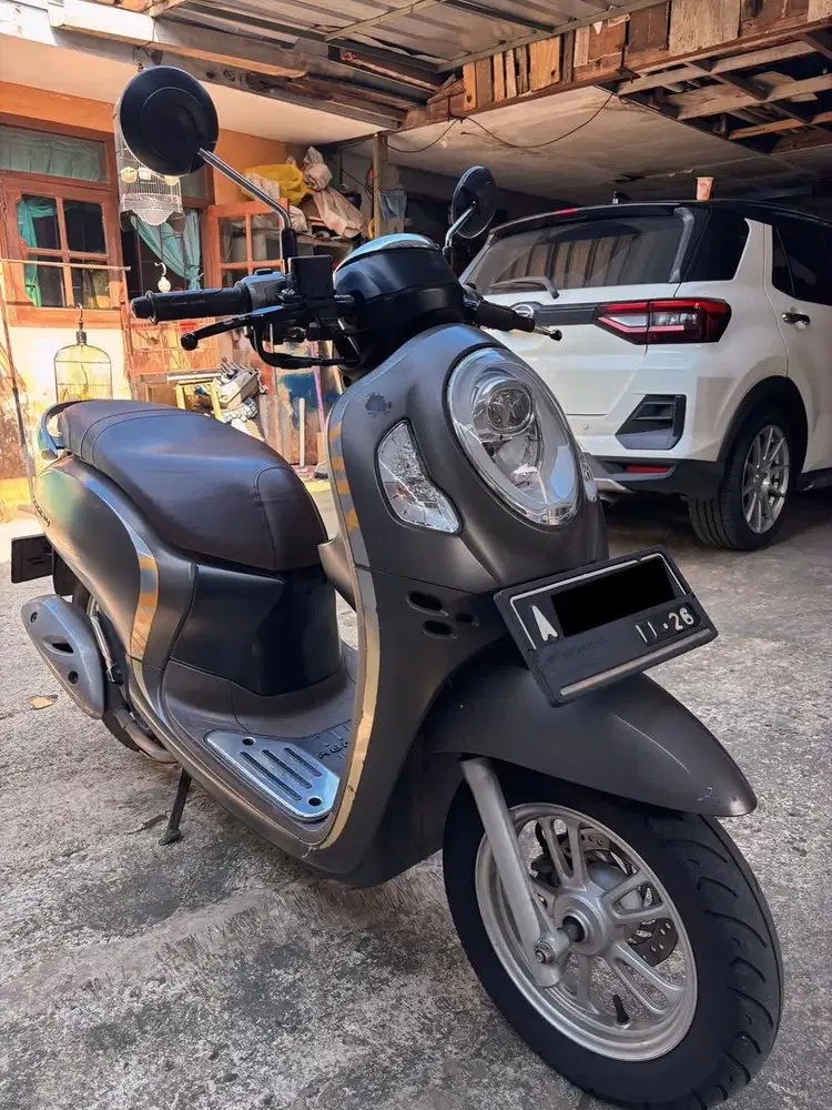 Scoopy Stylish 2021