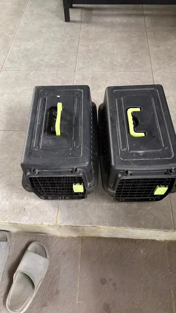 Dijual Pet Cargo Medium Hitam 2 buah