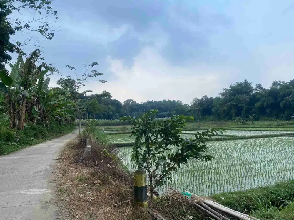 di Jual Tanah Pekarangan dan Pertanian