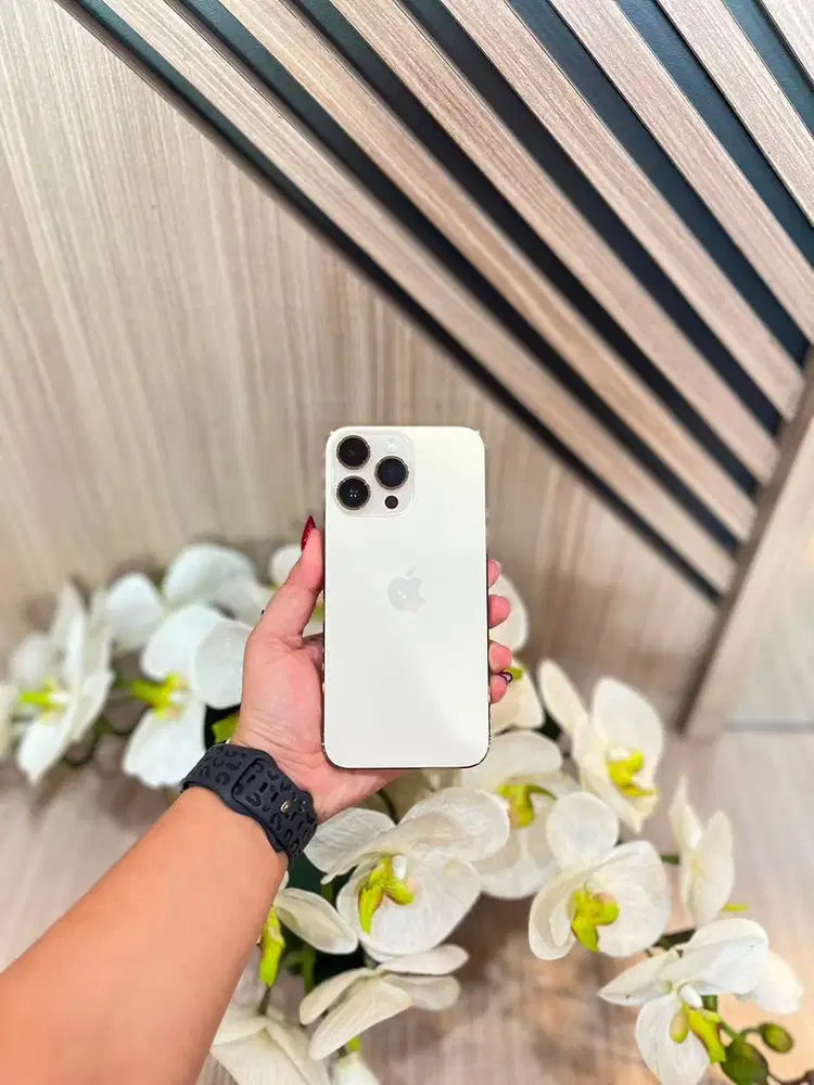 Iphone 14 Promax 256 GB