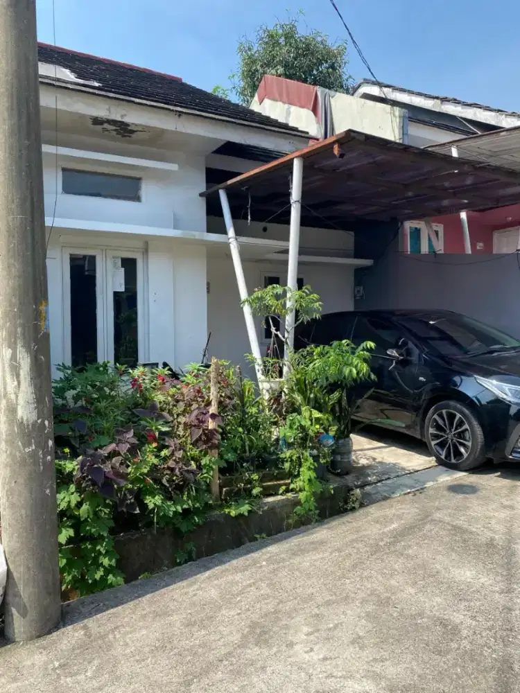 Di sewakan / jual rumah adem yaman sejuk lingkungan aman
