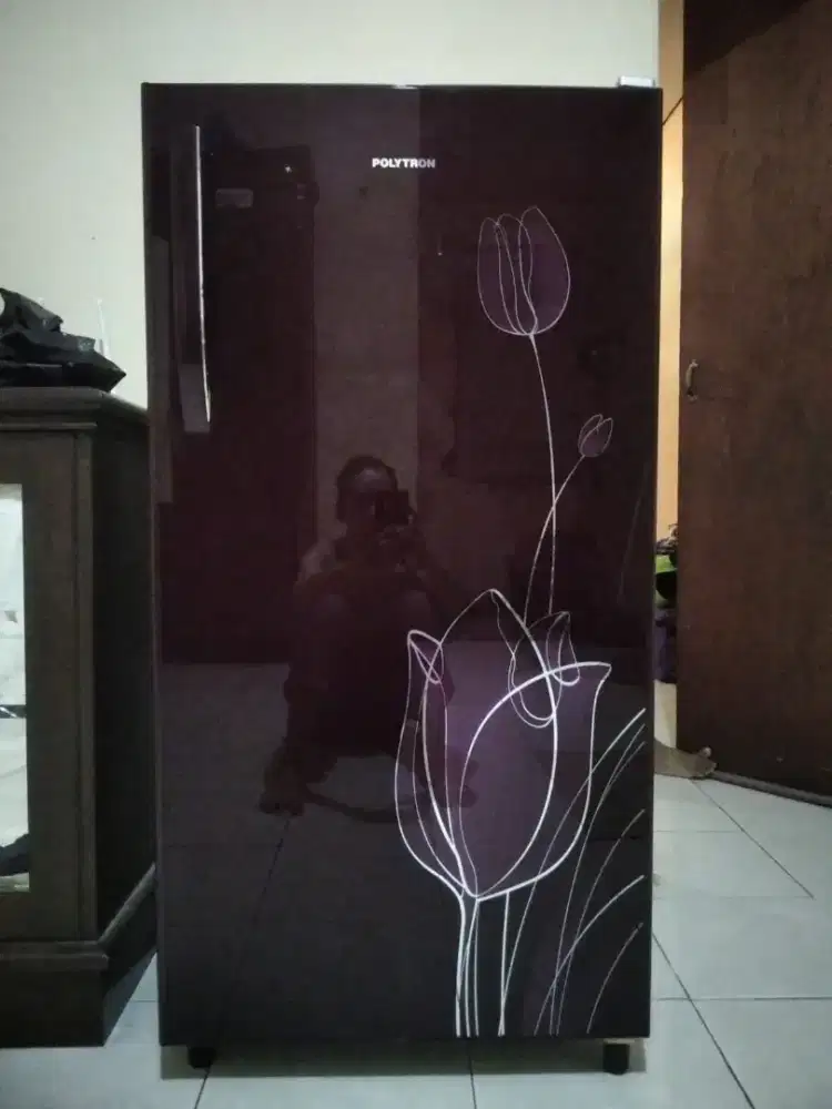 Kulkas 1 pintu secend merk polytron