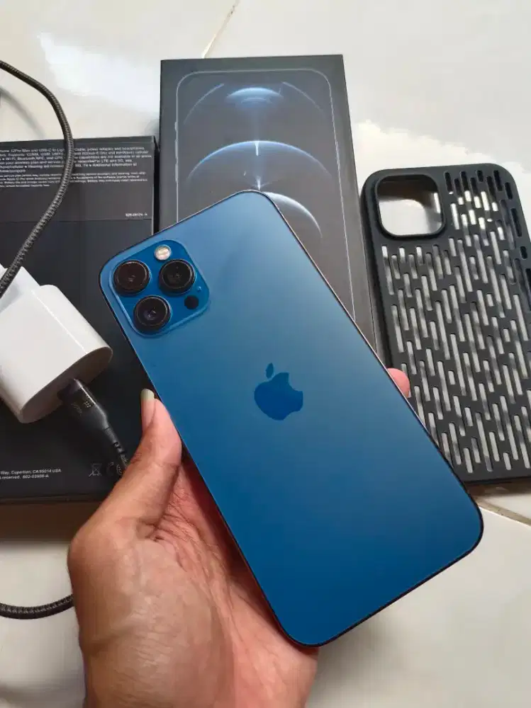 iPhone 12 pro max 256 terdaftar resmi