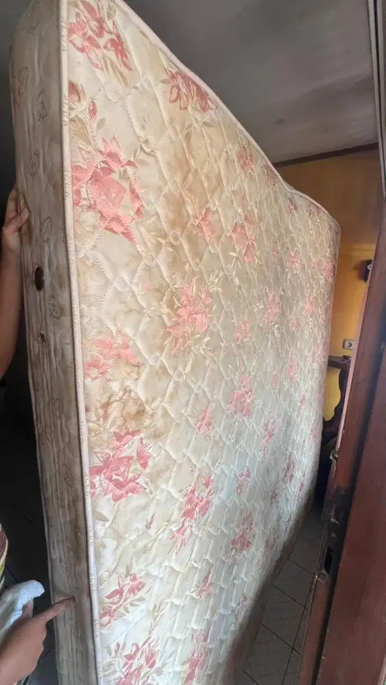 Kasur Springbed Alga Bekas