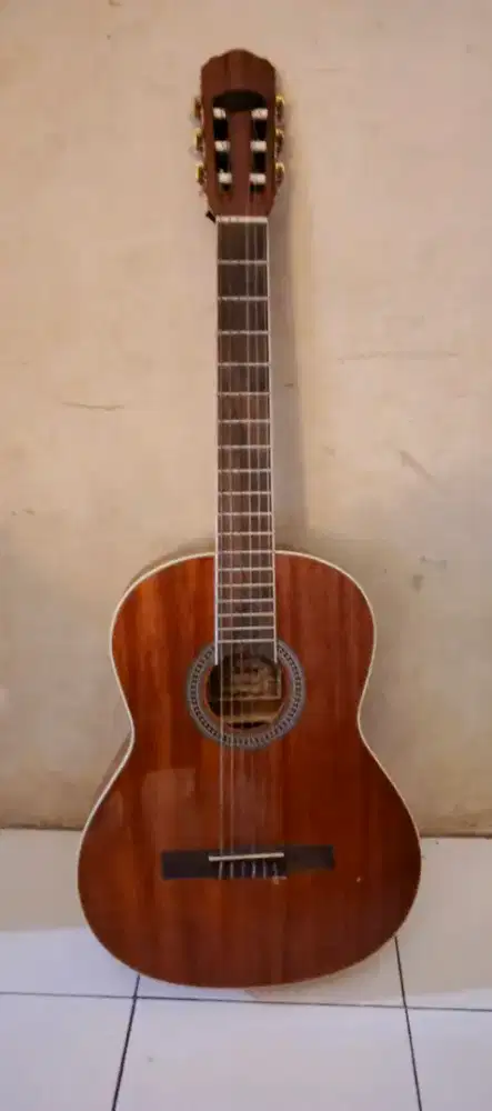 Guitar Shelby cw 300 NT