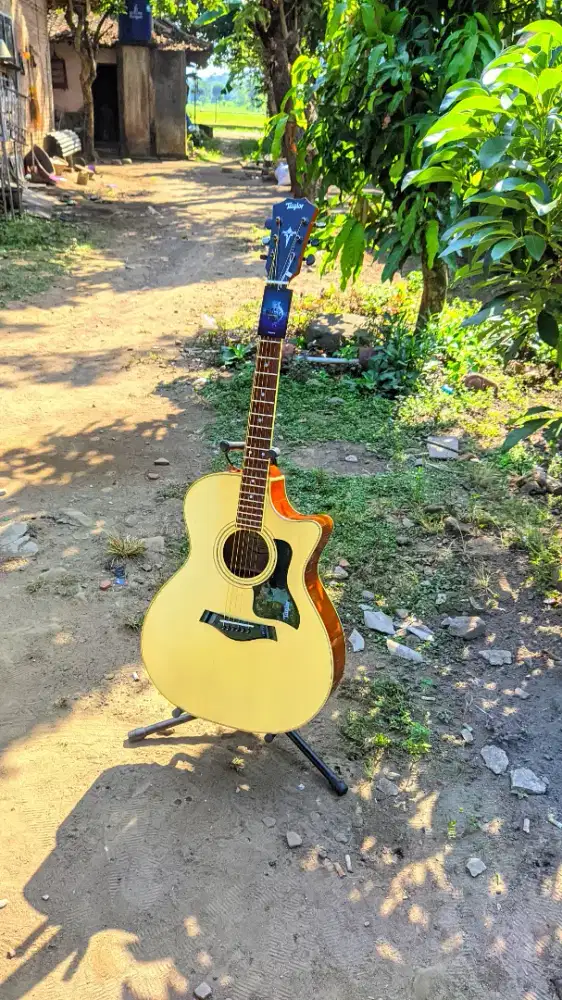Gitar Akustik Taylor High Quality Baru