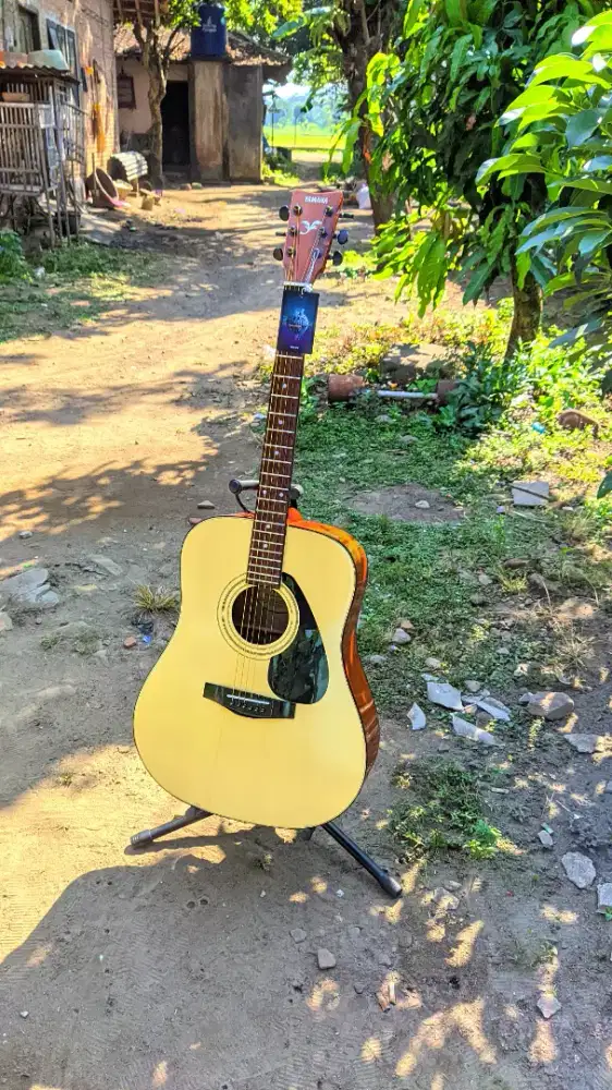 Gitar Akustik Yamaha F310 High Quality Baru