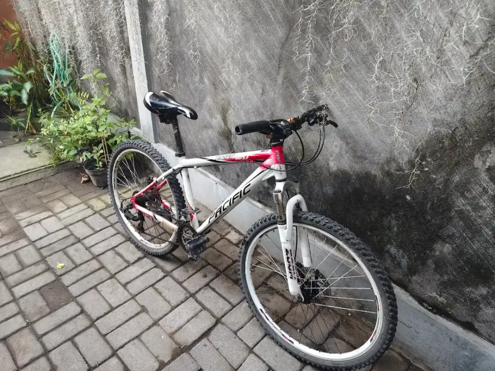Sepeda Pacific shimano speed 7