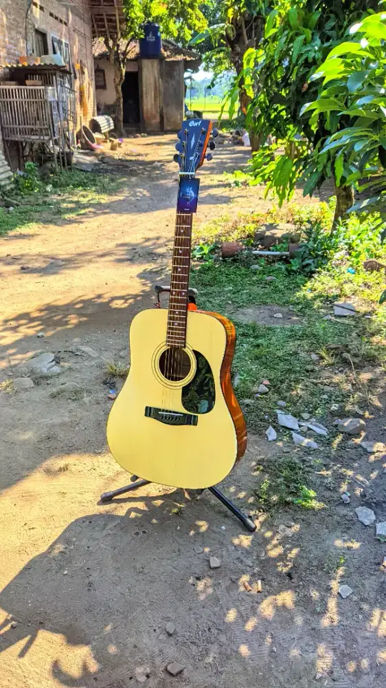 Gitar Akustik Cort AD810 High Quality Baru