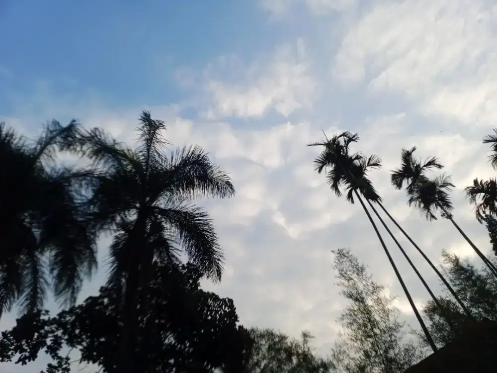 antar jemput pakai motor pribadi