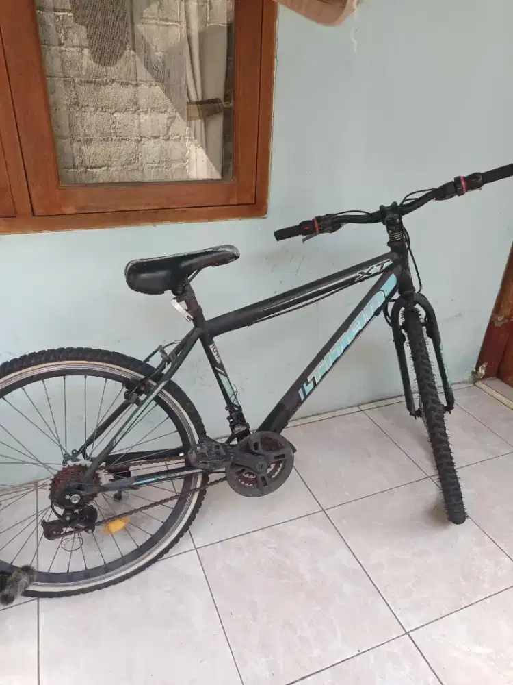 Sepeda dewasa bekas