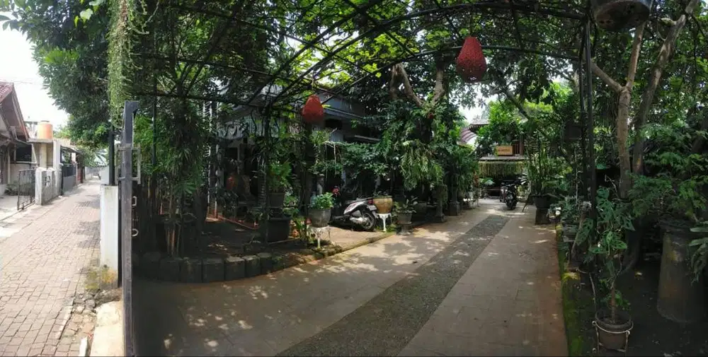 Rumah Asri Penuh Nuansa Tropis di Cimanggis