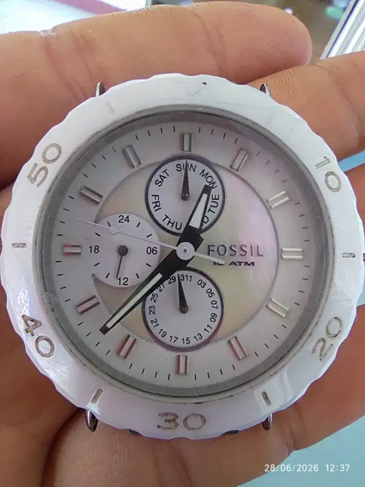 Jam fossil ceramic