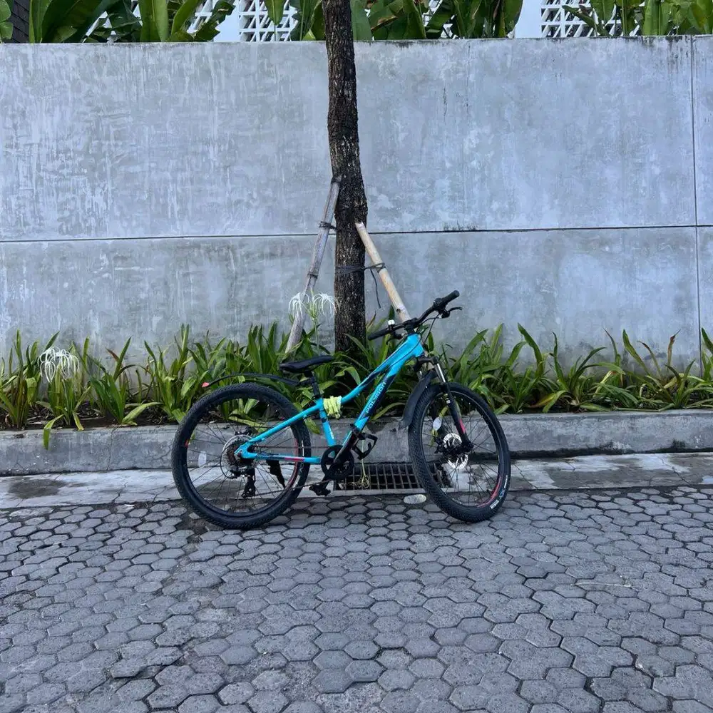 SEPEDA POLYGON RELIC24 KONDISI SANGAT TERAWAT