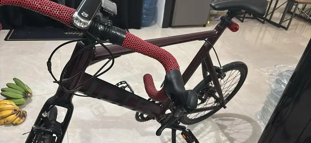 Jual Minivelo Tern Surge