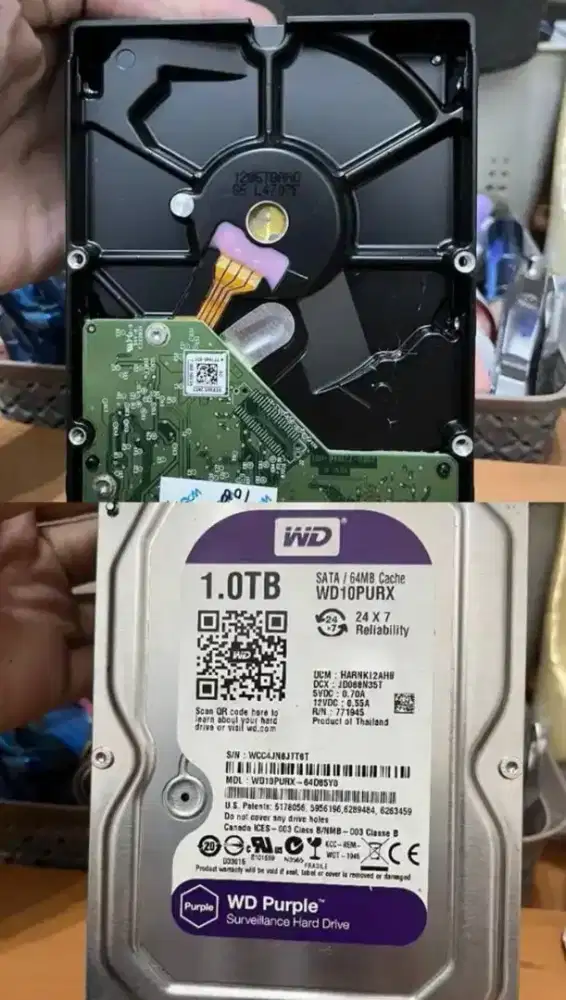 HDD Desktop 1Tera Hard Disk 1TB WD Purple 1 TB WD Ungu