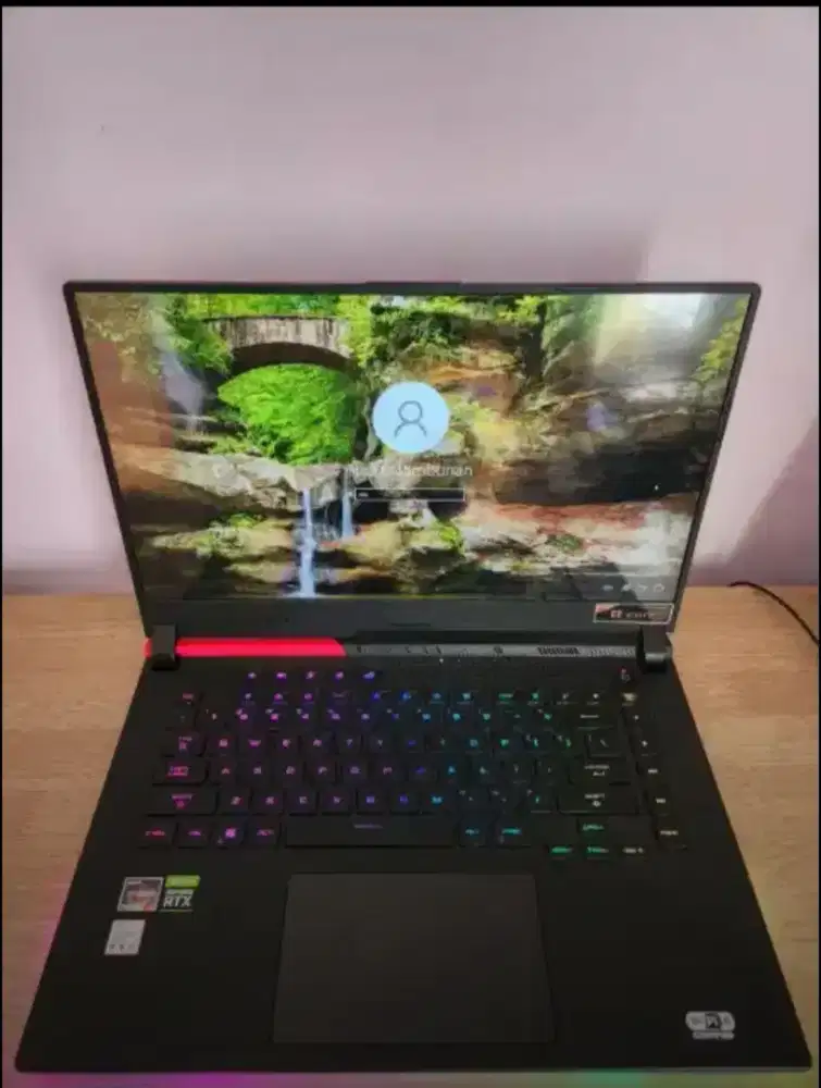 ASUS ROG STRIX G513QR