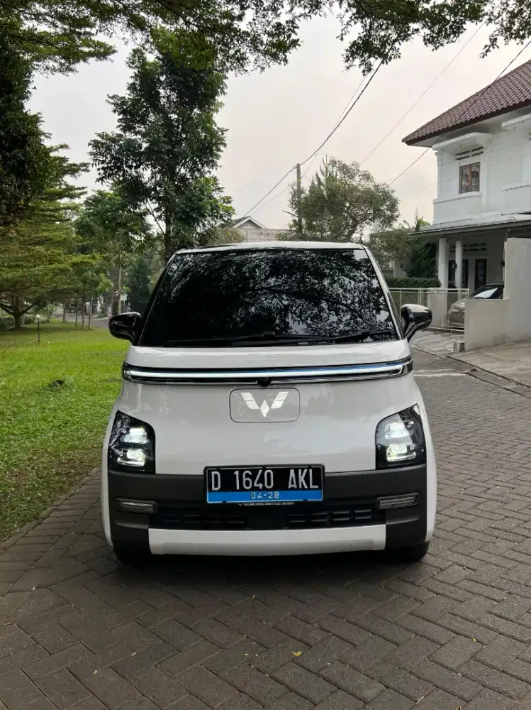 Wuling EV 300 long