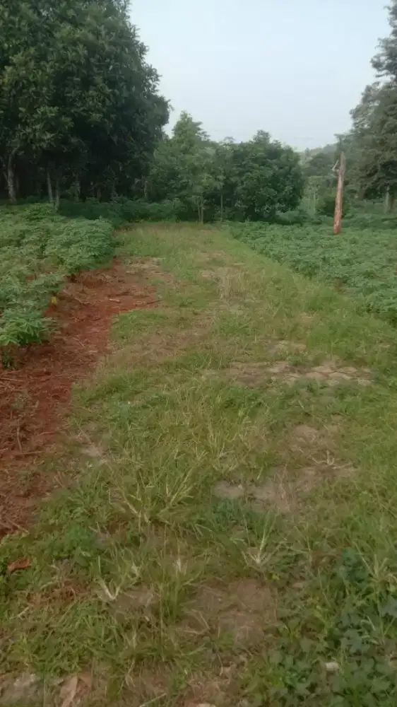 Dijual tanah kavling