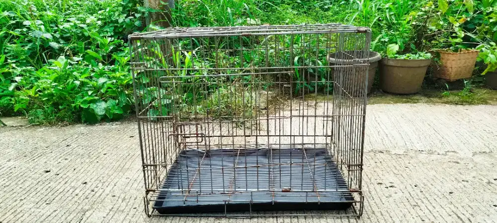 Kandang kucing bekas