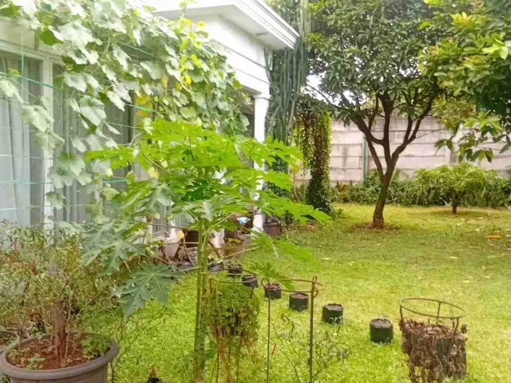 Dijual 3 bangunan rumah hanya hitung tanah, LT 2048 , 6 jt/ m² dekat pintu tol Cimanggis - Cikeas