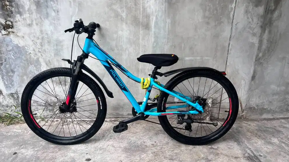 JUAL CEPAT POLYGON RELIC 24!!