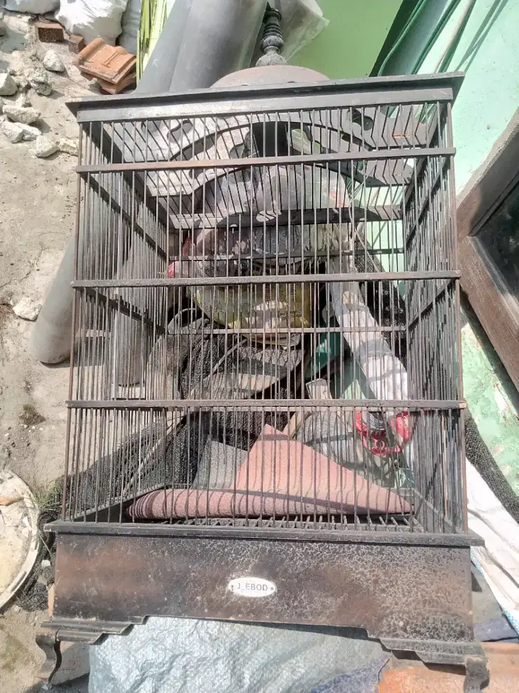 Kandang burung Ebod