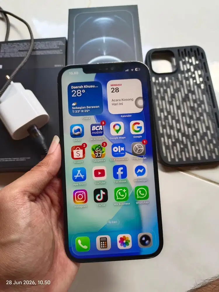 Iphone 12 PM 256gb resmi