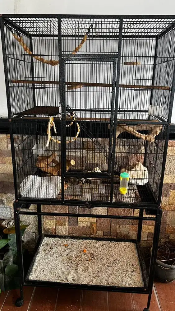 JUAL FULL SET SUGAR GLIDER