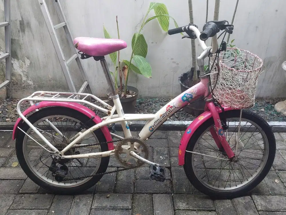 Sepeda wim cycle anak perempuan ring 20