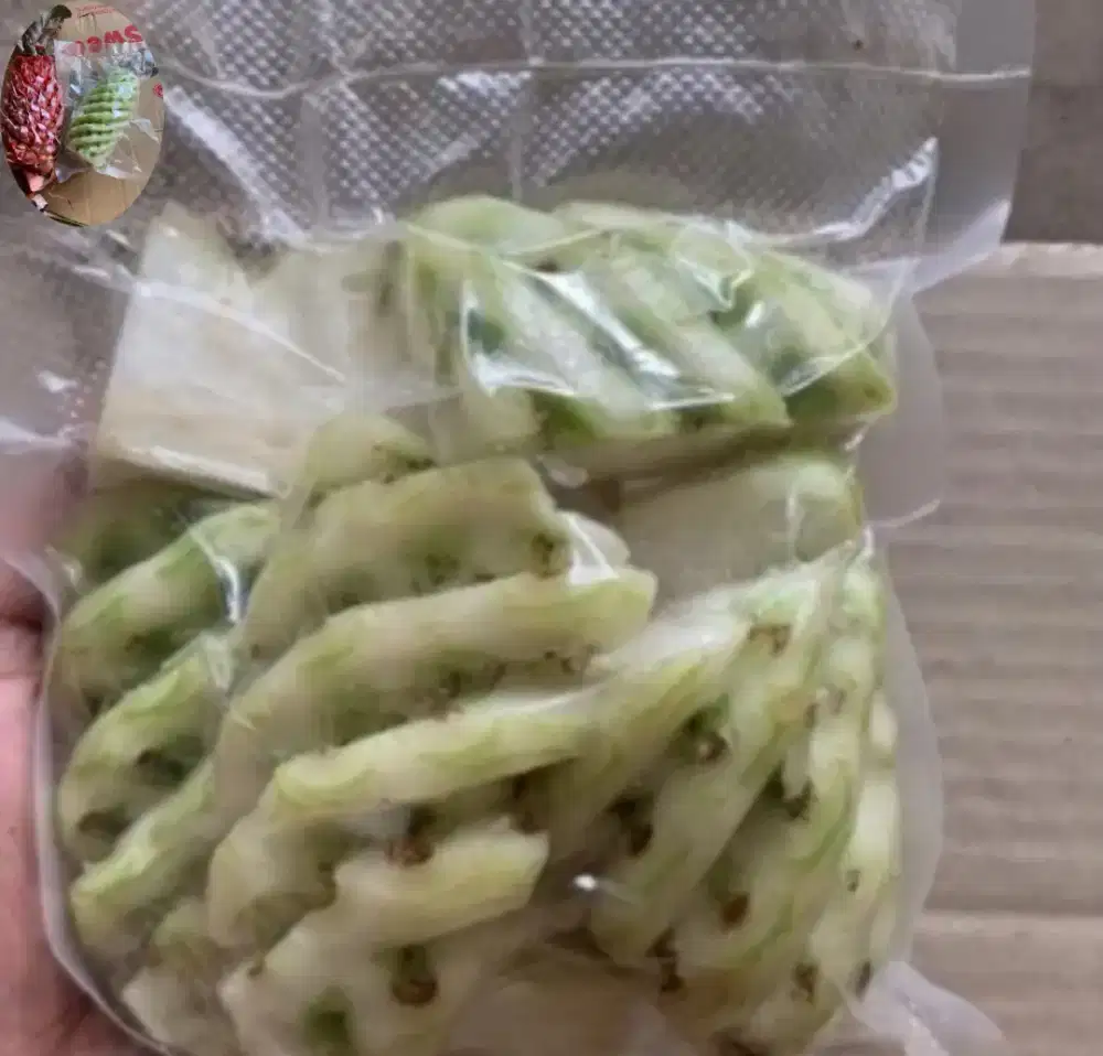 Menjual nanas merah | nanas muda herbal