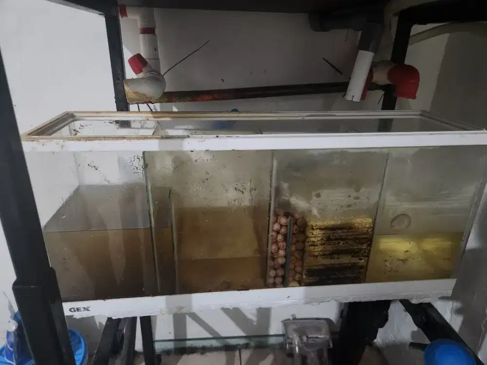 Aquarium dan sumpfilter
