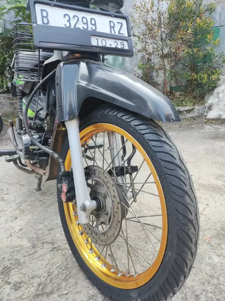 Astrea grand mulus normal sehat kuat