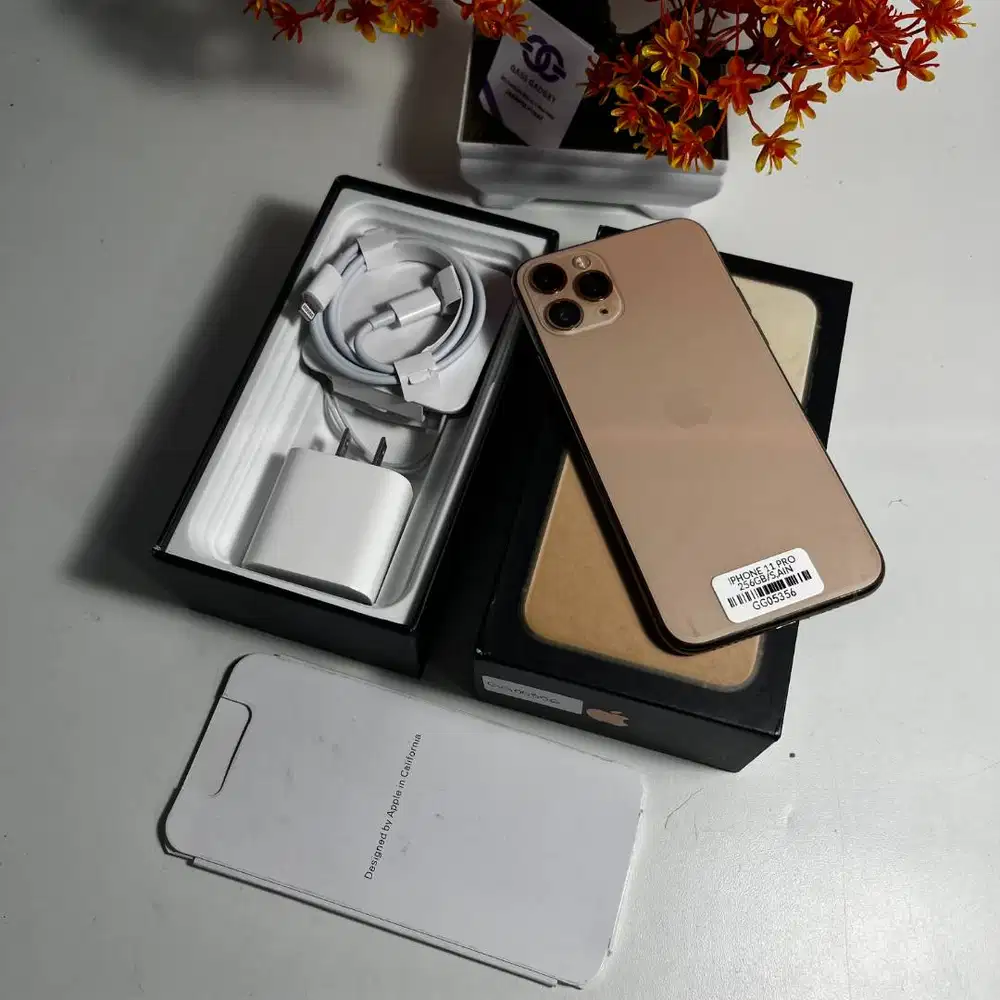 iPhone 11 Pro 256GB – Gold GG05356