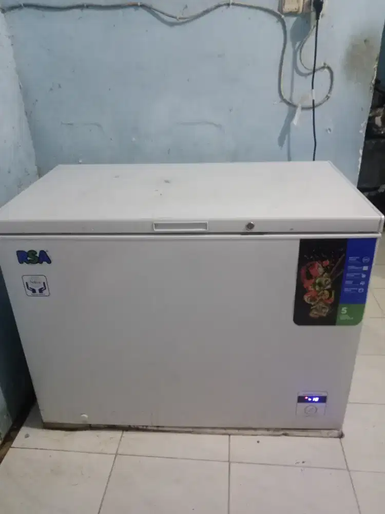 Freezer RSA 318L