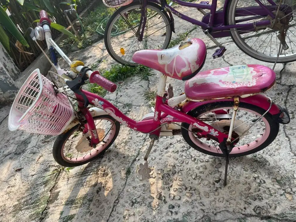 Sepeda anak perempuan warna pink apa adanya