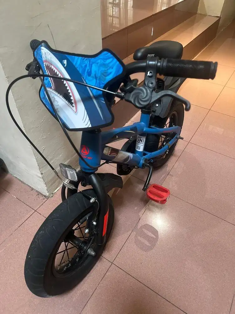 Sepeda Anak Pacific