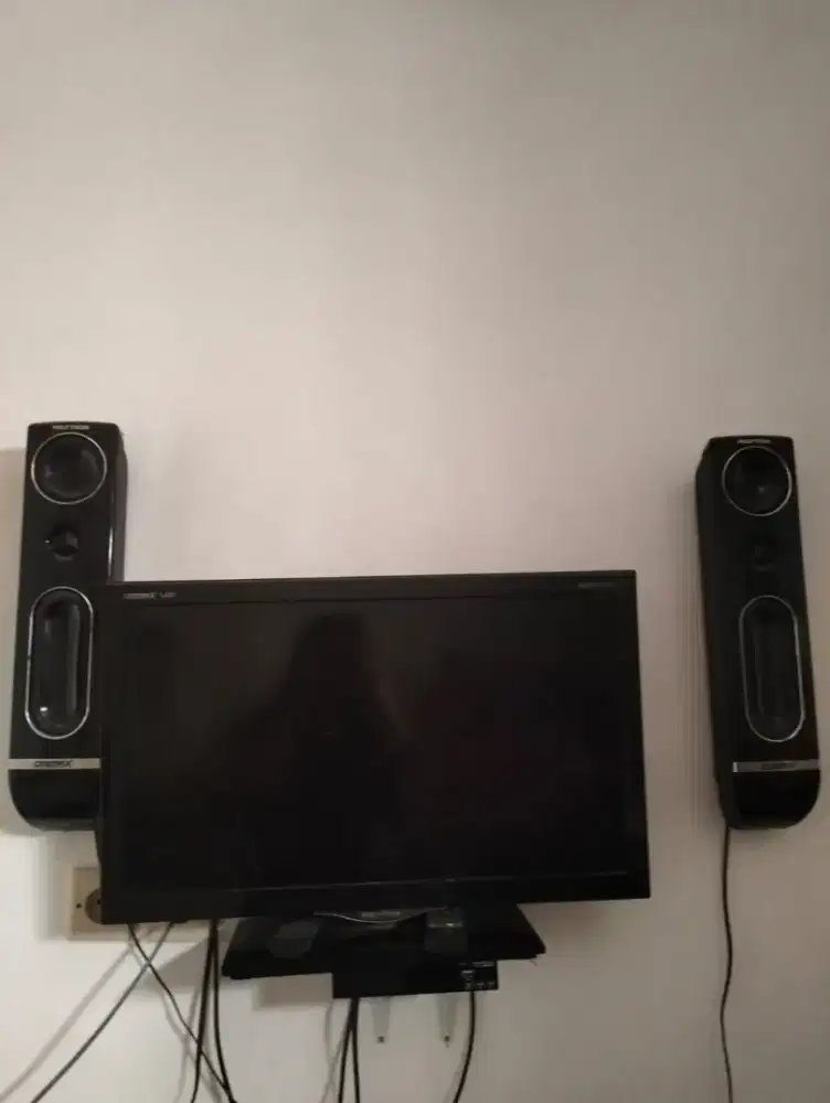 TV polytron 24 in normal