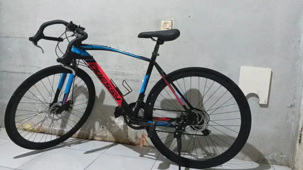 Sepeda roadbike