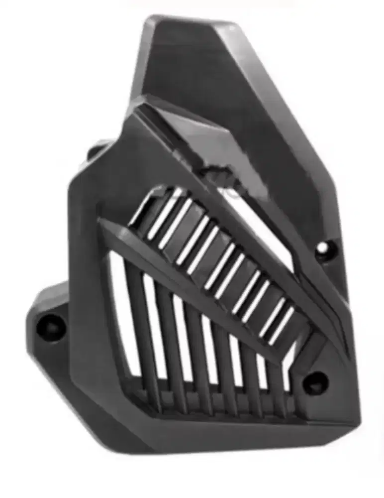 Cover radiator vario 125