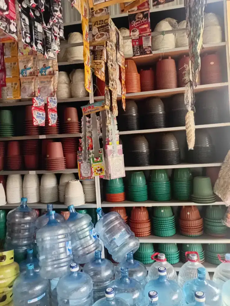 Dijual borongan POT tanaman