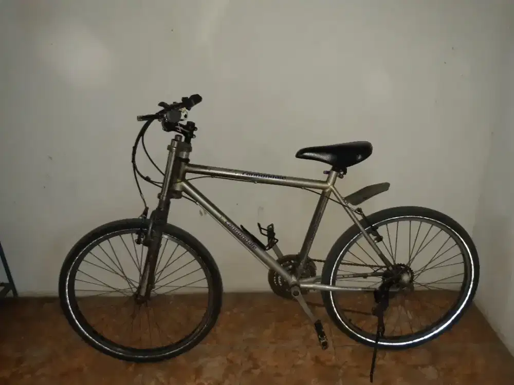 Sepeda gunung (MTB)
