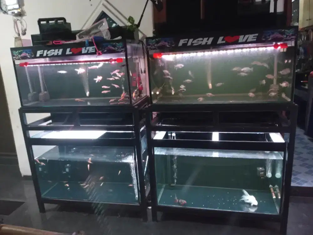 4pcs akuarium ikan