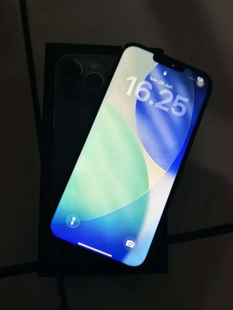 iPhone 13 pro max 128 inter